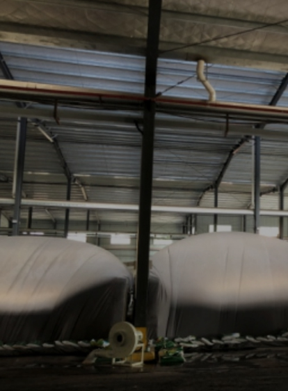 兰科博弈(RankBet)有限公司官网